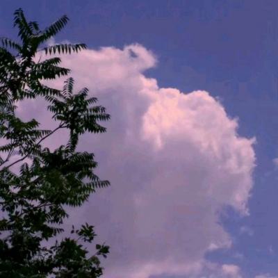 子星物语百度手游下载